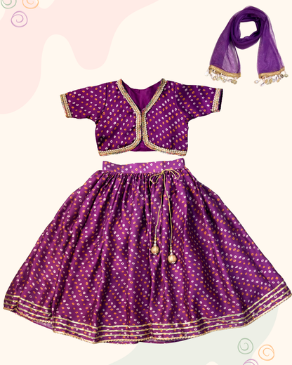The Pretty In Purple Lehenga Set