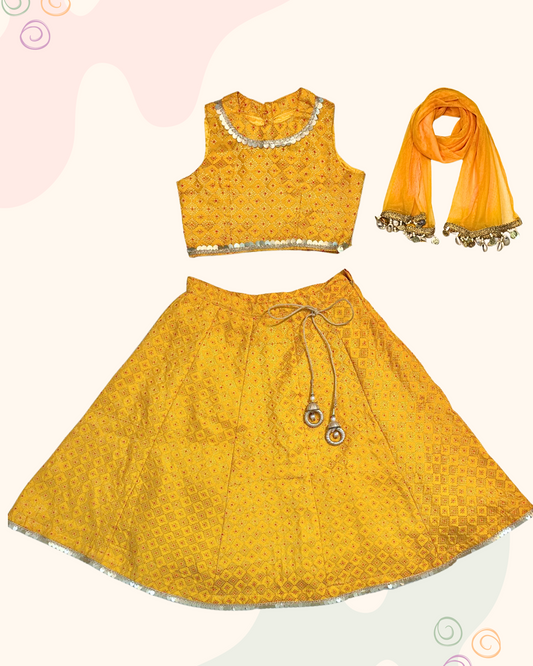 The Yellow Silk Lehenga Set