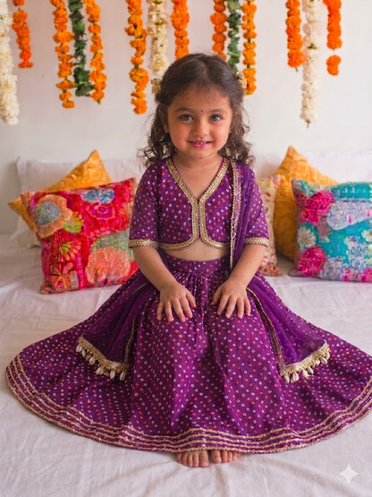 The Pretty In Purple Lehenga Set