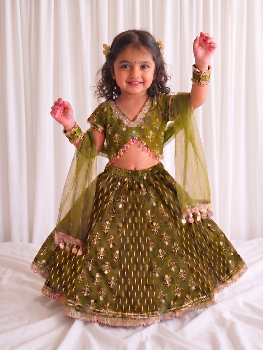 Mehendi multi print lehenga set of three