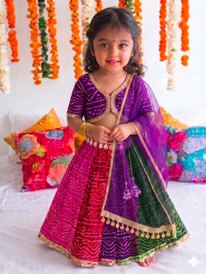 The Bandhani Multicolour Lehenga Set-Half sleeves