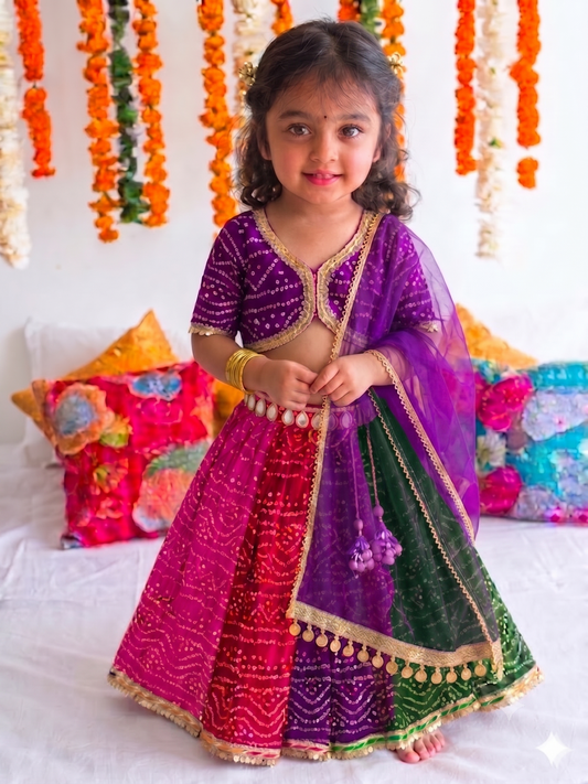 The Bandhani Multicolour Lehenga Set-Half sleeves
