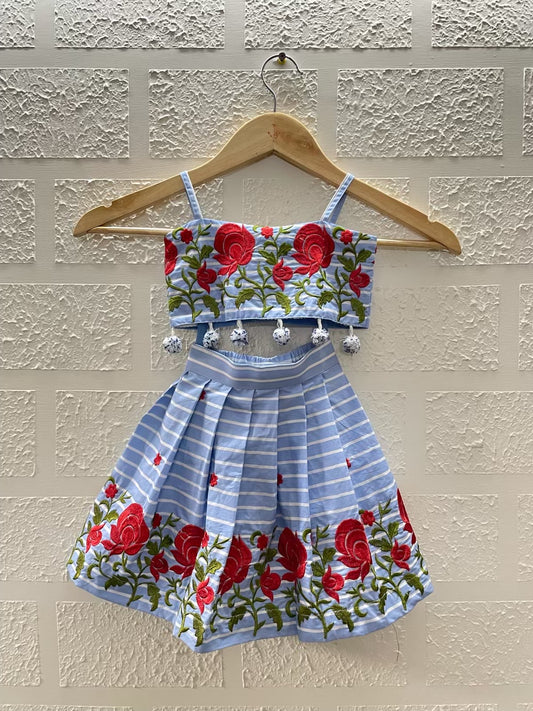 The Embroidered Skirt and Top set