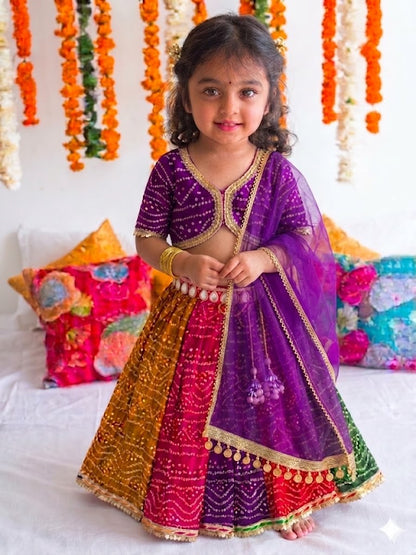 The Bandhani Multicolour Lehenga Set-Half sleeves